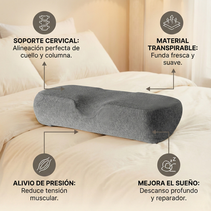 Sistema de Alineación Dual