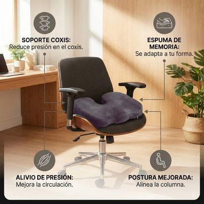 Sistema de Alineación Dual